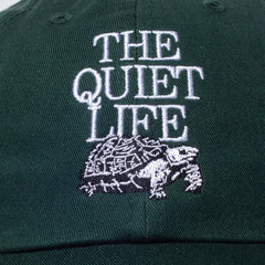 Turtle Dad Hat (FA25)