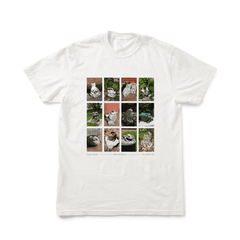 Frog Friends T - White