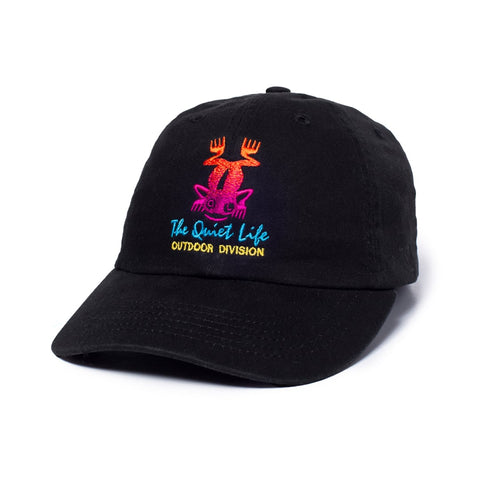 Outdoor Division Dad Hat